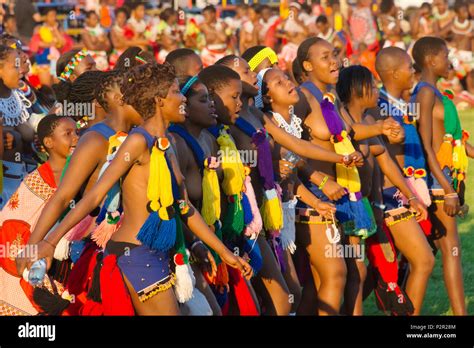 reed dance swaziland fotos und bildmaterial in hoher auflösung alamy