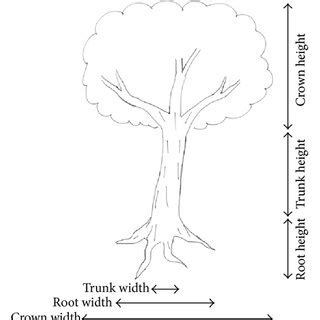 tree drawing test kochs baum test   aid