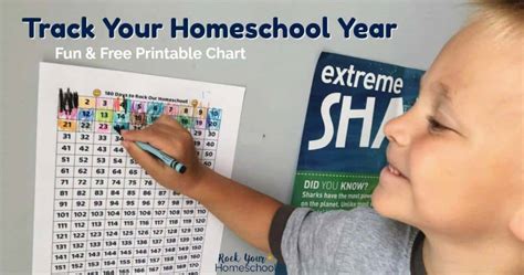 homeschool printables  activities color  crafty