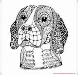 Beagle Zentangle Mandalas Perros Colorear Stilizzato Ha Lepre Stylized Debuda Hund Rysunek Obraz Hunde Coloreados Besuchen sketch template
