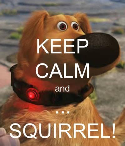 squirrel   quotes quotesgram