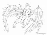 Griffin Coloring Wip Printable Adults sketch template