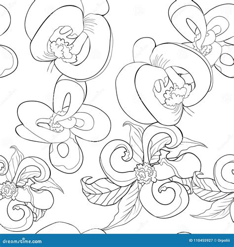 dogwood flower coloring page    svg file