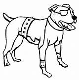 Terrier Coloring Pitbull American Eyed sketch template