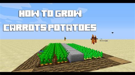 minecraft tutorial   grow carrotspotatoes youtube