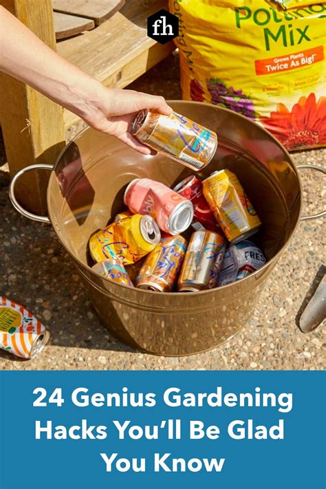 24 genius gardening hacks you ll be glad you know in 2021 gardening