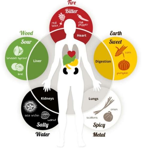 exclusive learn     vital organs  tcm natural health beauty products