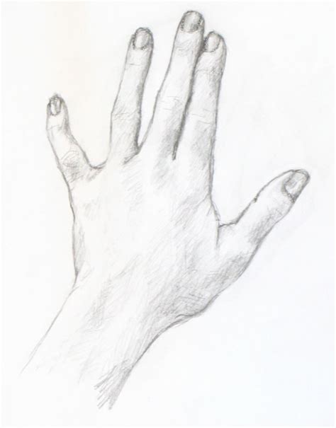 drawing tutorial  simple drawing   hand portrait artist