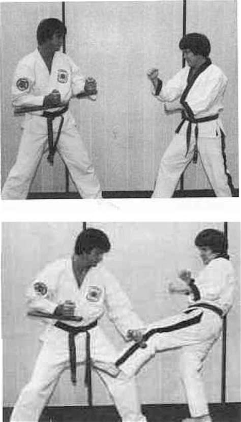 Techniques Of Defense With The Tonfa Karate Weapons