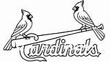 Cardinals Coloring St Louis Pages Color Logo Getdrawings Printable Getcolorings sketch template