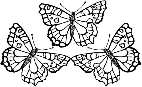 printable butterfly coloring pages  kids  printable