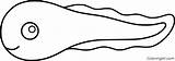 Tadpole Amphibian Coloringall Caecilian sketch template
