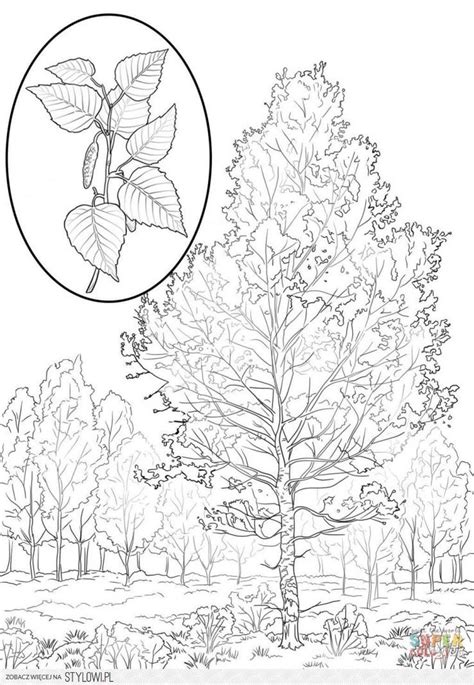 inspiracje tree coloring page  printable coloring pages