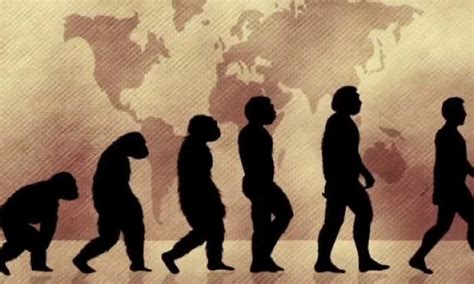 Sociales Origen Del Hombre Y Su Evolucion