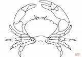 Crab Coloring Pages Drawing Outline Printable Blue Template Crabs Public Sketch Domain sketch template