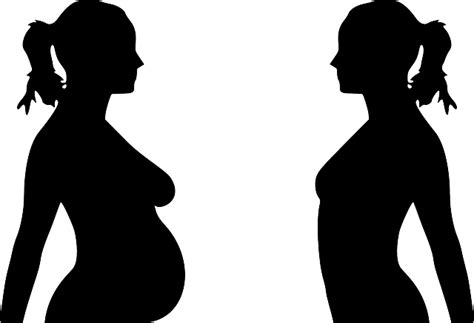 free vector graphic woman pregnant pregnancy female free image on pixabay 23888