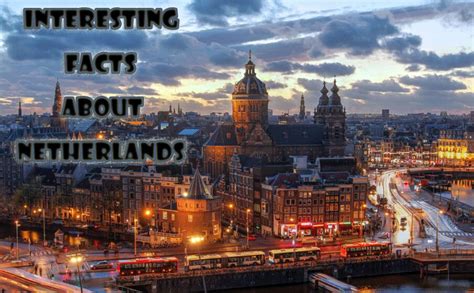 interesting facts about netherlands vdio magazine 2024