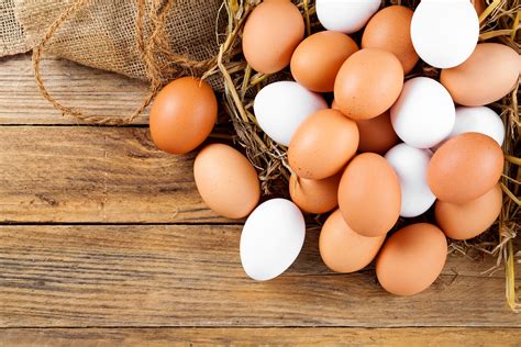 confira  beneficios de comer ovos   sua saude