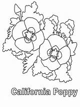 Poppy California Coloring Pages Kids sketch template
