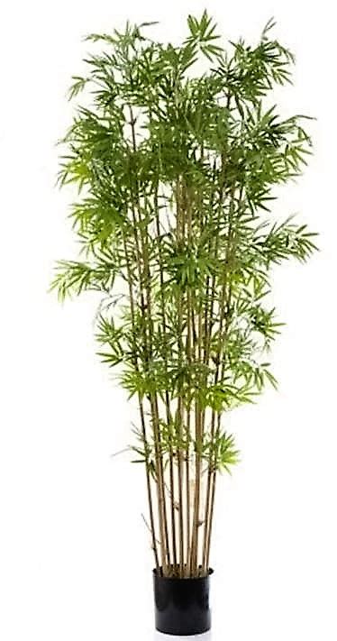 artificial bamboo tree mt japanese bamboo silk trees  plants