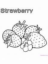 Fruit Jelly Gaddynippercrayons sketch template