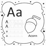 Tracing Acorn sketch template