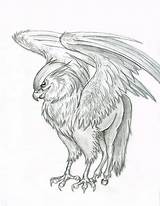 Hippogriff Coloring Harry Potter Pages Deviantart Hippogryph Gryphon Buckbeak Griffin Drawings Tattoo Drawing Creatures Greif Pony Animal Little Join Today sketch template
