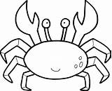 Crab Horseshoe Drawing Getdrawings Coloring sketch template