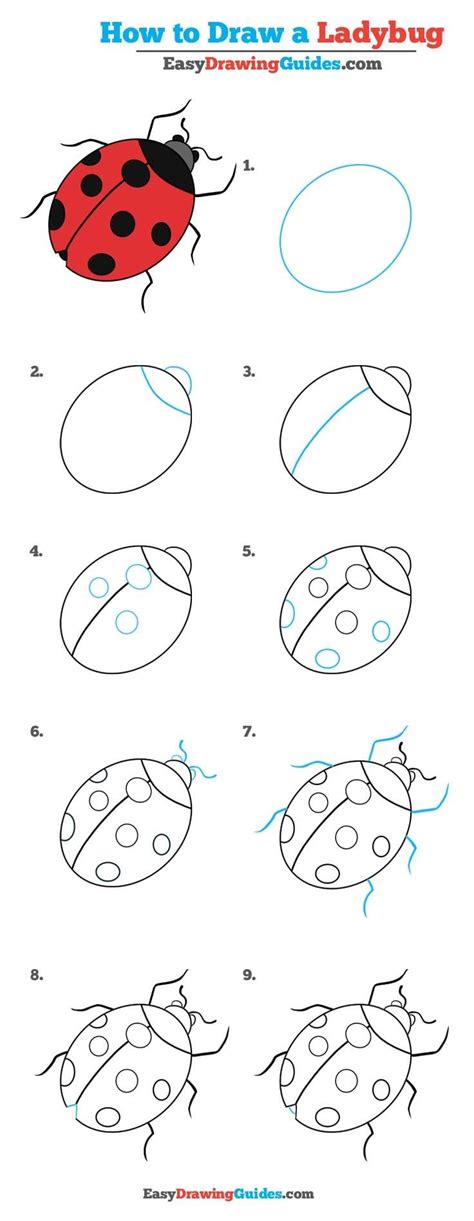 how to draw ladybug how to draw a ladybug in six easy steps by tanya
