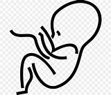 Pregnancy Cartoon Embryo Drawing Favpng sketch template