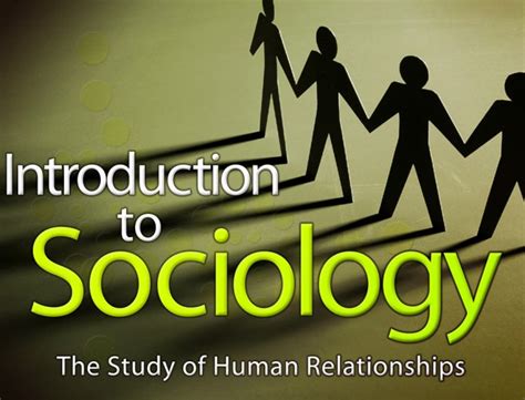 sociology   study  human relationships edynamic learning