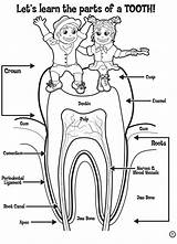Teeth Tooth Dental Dentist Molar Pediatric sketch template