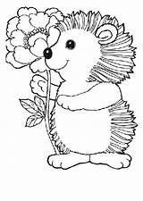 Coloring Hedgehog Pages Bestcoloringpagesforkids Print Cute sketch template