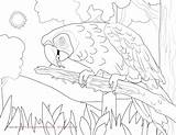 Macaw Coloring Scarlet Hyacinth Pages Color Kids Result Facts Getcolorings Drawings Printable Getdrawings Designlooter Print sketch template