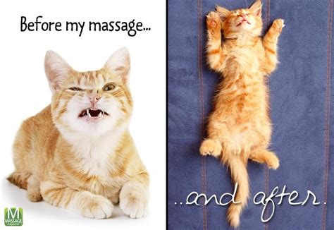 massage magazine on twitter massage therapy massage benefits