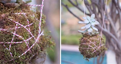 create  hanging succulent planter brit