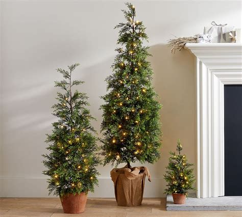 lit potted faux juniper trees pottery barn