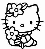 Flower Kitty Hello Holding Coloring Pages sketch template