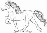 Horse Icelandic Outline Pony Lineart Paarden Drawings Horses Sketch Gallop Choose Board sketch template