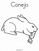 Conejo sketch template