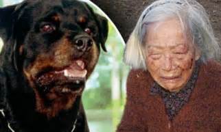 Two Rottweilers In Savage Attack On 80 Year Old Woman As She Walks In