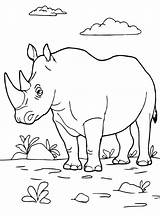 Nashorn Neushoorn Rhinoceros Rhino Malvorlage Kleurplaten sketch template