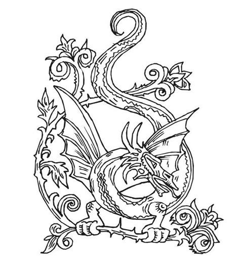 images  coloring pages dragons  pinterest realistic