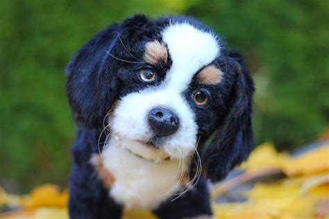 realistic toy dog handmade    cute puppy named charlie
