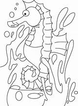 Coloring Seahorse Pages Printable Depressed Print Sea Horse sketch template