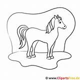 Ausmalbild Pferd Kostenloses Pferde Malvorlage Titel Joomgallery sketch template