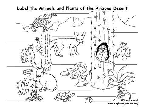 coloring pages  animal habitats gif
