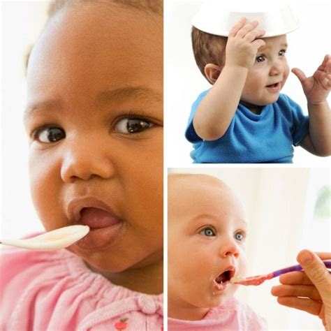 reasons  homemade baby food  easier  analytical mommy