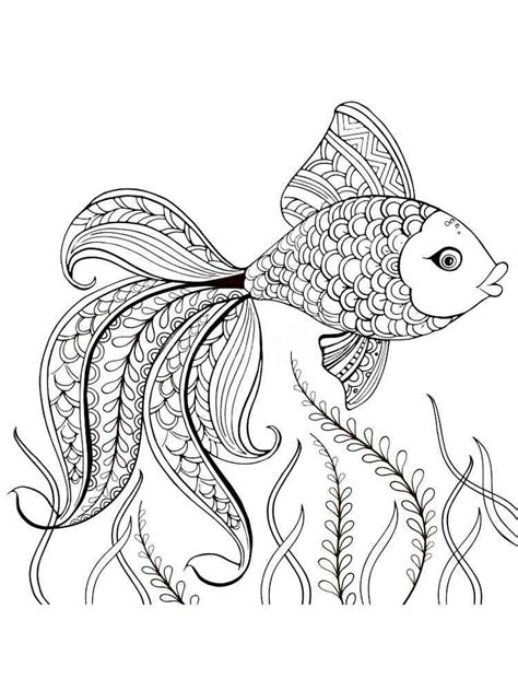 fish coloring pages  adults