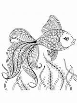 Coloring Pages Fish Adult Zentangle Adults Color Printable Bright Teens Colors Favorite Choose sketch template